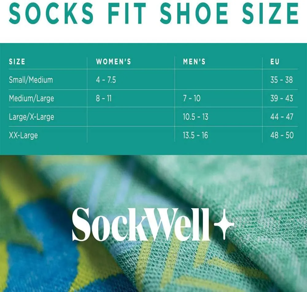 Sockwell Men's Elevate Micro Moderate Compression Sock